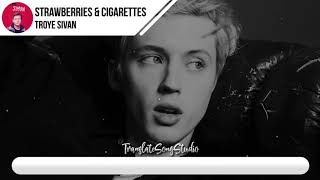 แปลเพลง Strawberries And Cigarettes  Troye Sivan [upl. by Keldah]