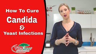 How to Cure Candida Fast  Yeast Infections  VitaLife Show Episode 170 [upl. by Theola973]