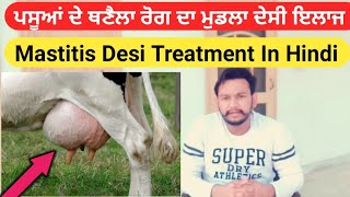 Mastitis desi Treatment। ਥਨੈਲਾ ਰੋਗ ਦਾ ਦੇਸੀ ਇਲਾਜ। गाय भैंस में थनैला रोग का देसी इलाज [upl. by Ahsiret]