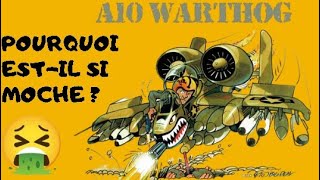 histoire daviation  A10 Thunderbolt II les derniers secrets du HOG [upl. by Roldan]