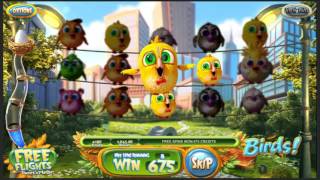 BIG WIN On Birds Slot Machine [upl. by Triny370]