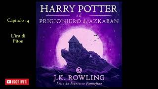 Harry Potter e il Prigioniero di Azkaban Audiolibro Italiano letto da Francesco Pannofino Capitolo14 [upl. by Walter]