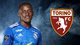 JeanRicner Bellegarde ● Skills ● Goals ● Assists ● Torino [upl. by Kennard]