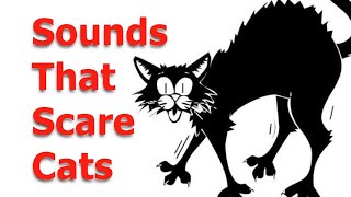 Make your Cat or Dog Go Crazy  Sounds Cats Hate All Time [upl. by Romney157]