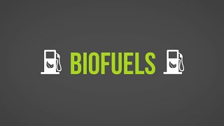 Biofuels 101 [upl. by Ealasaid]