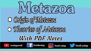 Metazoa Origin Of Metazoa Theories related to origin with Notes [upl. by Kaczer]