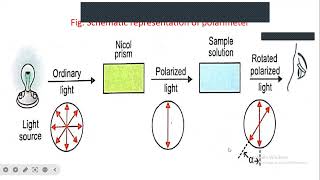 Optical activity and plane polarized lightstereochemistry [upl. by Linus]