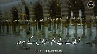 rasoole khuda sar ware ambiya shortsvideo viral [upl. by Nylirahs]