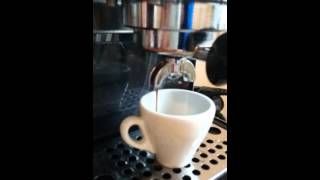 Extraktion Gaggia Classic  Quijote Bohnen quotOh Harveyquot [upl. by Cirek]