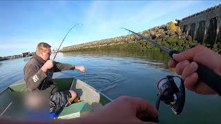 Fishing Inside Westport Marina Summer 2023 [upl. by Ai157]