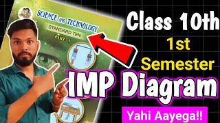 Class 10th Science Part 1 Most Important Diagram First Semester Exam 2024  science 1 imp Diagram 10 [upl. by Dionne]