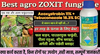 Zoxit fungicide best agro zoxit fungicide Azoxistrobin 11  Tebuconazole 183SC best fungicide [upl. by Akilegna]