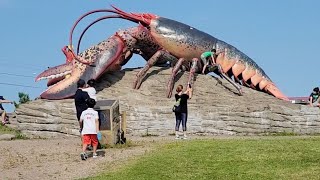 The Worlds Largest Lobster Shediac Giant Lobster Where To Go at New Brunswick [upl. by Erminna]