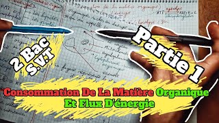 🔥🔥 Consommation De La Matière Organique Et Flux dénergie 🔻 Partie 1 🔻 2 Bac BIOF SVT 🔻1èr chapitre🔻 [upl. by Eeram]