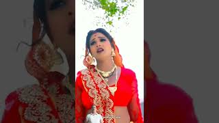 Bhojpuri arkestra song dance bhojpuri song dance shortvideo viralvideo comedy music [upl. by Alacim]