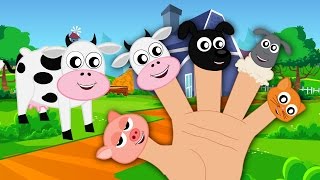 Animals Finger Family And Kids Song For Children  Nursery Rhymes For Babies [upl. by Solorac]