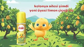 Dalin Kolonya Ailesi’nin Yeni Üyesi Limon Çiçeği [upl. by Anaehs]