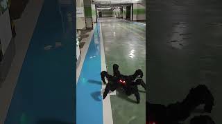 Watch My DIY Robotic Spider Scare Everyone roboticspider diyrobot robotics [upl. by Koziel]