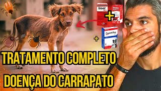 ANTIBIÓTICO PARA DOENÇA DO CARRAPATO NÃO FUNCIONA MELHOR DOXICICLINA P CÃES TRATAR CACHORRO DOENTE [upl. by Emile]