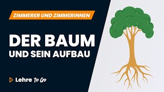 Der Baum und sein Aufbau  Lehre To Go [upl. by Zawde]