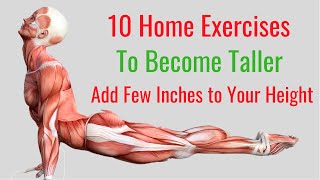 10 Home Exercises to Become Taller in No Time [upl. by Frost168]