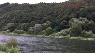 Fahrrad Touren Deutschland wo der Ellerbach in die Mosel fließt [upl. by Gray]