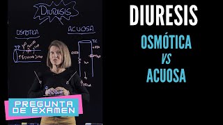 Diuresis acuosa vs diuresis osmótica Pregunta de examen [upl. by Rocca]