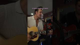 Rock me Amadeus by Falco 50s style live 🤘thebaseballs rocknroll [upl. by Dorcus]