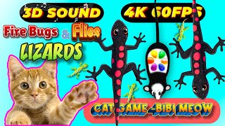 CAT GAMES TOM TV amp BiBi  Ultimate Compilation Catching The LIZARDS  Flies FireBugs🦎11 HOUR🦎Vol 59 [upl. by Giliana]