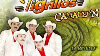 Bailame  Grupo Tigrillos [upl. by Notlih]