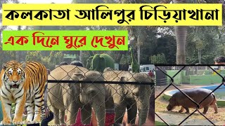 Kolkata Alipore Zoo  আলিপুর চিড়িয়াখানা  Kolkata Zoological Garden  Alipore Zoo Ticket Price [upl. by Mcquade]