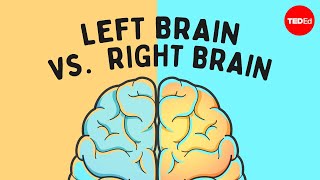 The left brain vs right brain myth  Elizabeth Waters [upl. by Lienaj]