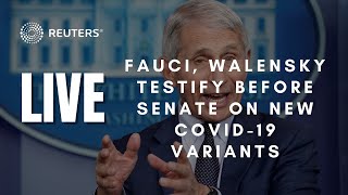 LIVE Fauci Walensky testify before Senate on response to new COVID19 variants [upl. by Julietta]