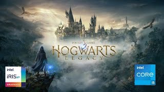 Hogwarts legacy test on intel iris xe8gb ram core i51135G7 Hp15 laptop [upl. by Santana]