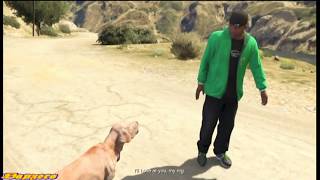 GTA V  Strangers and Freaks  Uncalculated Risk Gold  Franklin [upl. by Barcroft]