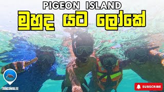 එන්න යන්න පරෙවි දූපතේ කිමිදෙන්න  Snorkeling  Pigeon Island Sri Lanka  Trincomalee Vlog Part  2 [upl. by Ahtelra51]