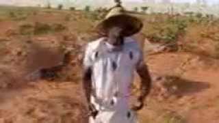 Seyni Maiga Dossa  Niger musique [upl. by Sitnerp960]