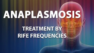 Anaplasmosis  RIFE Frequencies Treatment  Energy amp Quantum Medicine with Bioresonance [upl. by Chet]