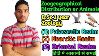 Zoogeographical Distribution of Animals  Zoogeographical Realm BSc 2 year Zoology [upl. by Ymerej]