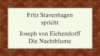 Joseph von Eichendorff „Die Nachtblumequot I [upl. by Kavita680]