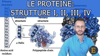 004 Le Proteine Struttura primaria secondaria terziaria quaternaria [upl. by Henarat254]