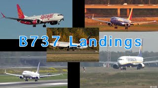 B737 Landing Compilation ✈️ [upl. by Kelton181]