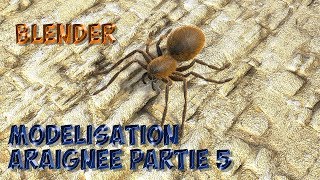 Tuto Comment modéliser en 3D une Araignée sous blender partie 5 sur 5 [upl. by Akeimahs]