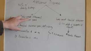 Alzheimer Disease  genetic predisposition  USMLE Step 1 Review [upl. by Canotas]