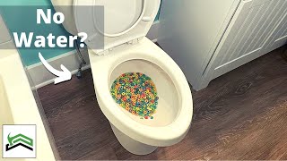 How To Flush A Toilet Without Running Water [upl. by Krall530]