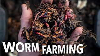 Vermicompost and Worm Breeding at Any Scale  Arizona Worm Farm [upl. by Nerat626]