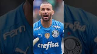 O melhor goleiro do Brasil palmeiras [upl. by Harimas884]