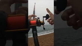 Huge mackerel caught on ragworm bait mackerel fishing beachfishing fishinguk seafishing fish [upl. by Ayidah]