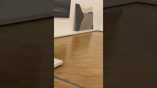 Exposição Pinacoteca SP arte quadrospersonalizados obras [upl. by Syl835]