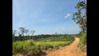 Vicinal só de chácara em Rorainopolis muito boa [upl. by Tibbetts]